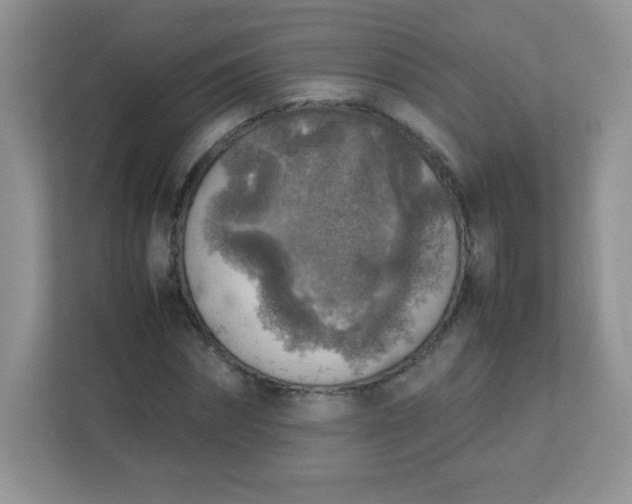 X0000113310874200909281122