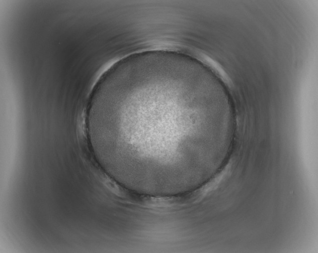 X0000113310875200909281122