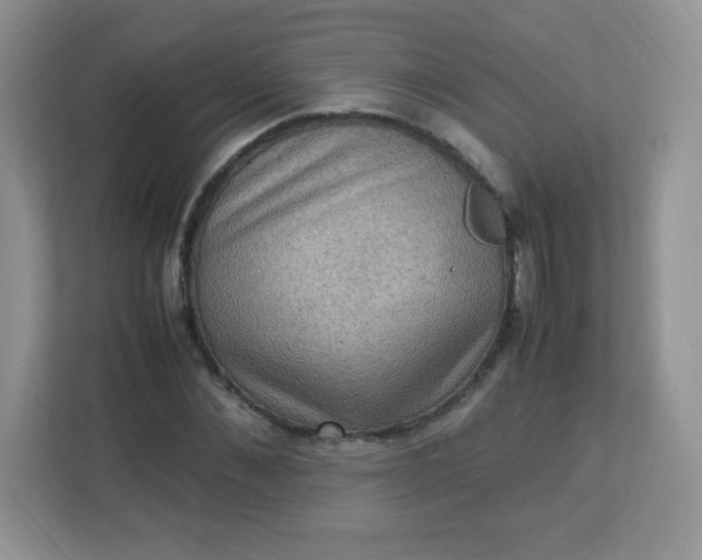 X0000113310876200909281122