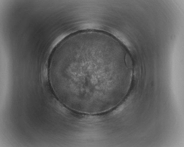 X0000113310877200909281122