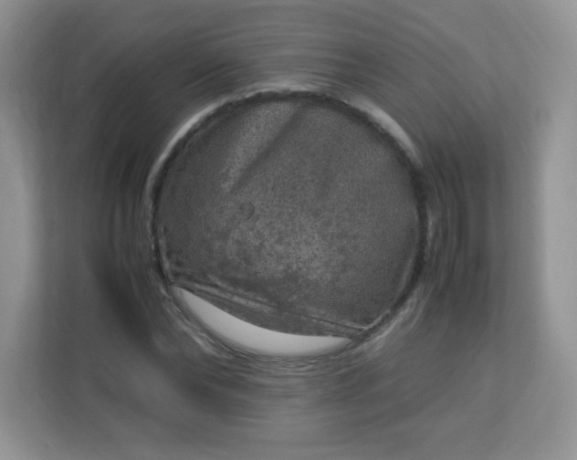 X0000113310878200909281122