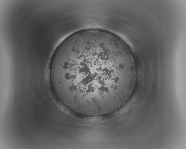 X0000113310879200909281122