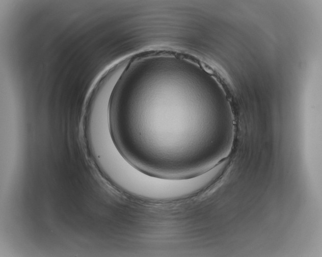 X0000113310880200909281122