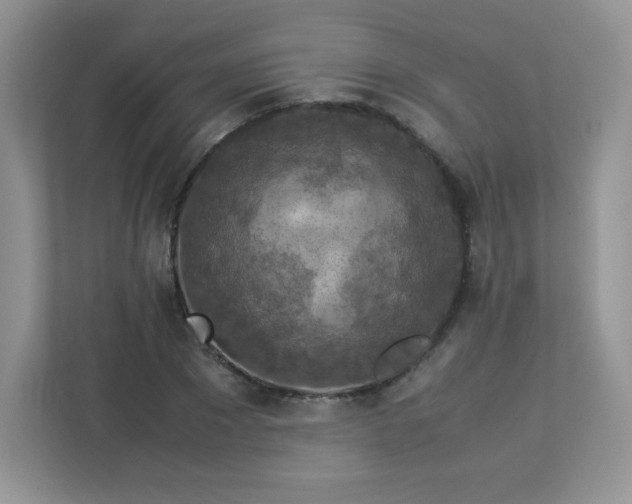 X0000113310881200909281122