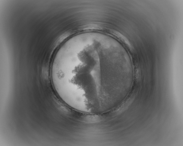 X0000113310882200909281122