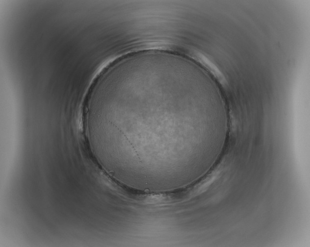 X0000113310883200909281122