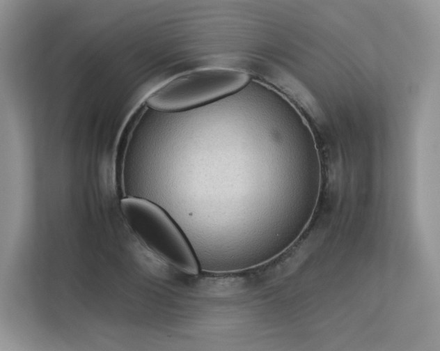 X0000113310884200909281122