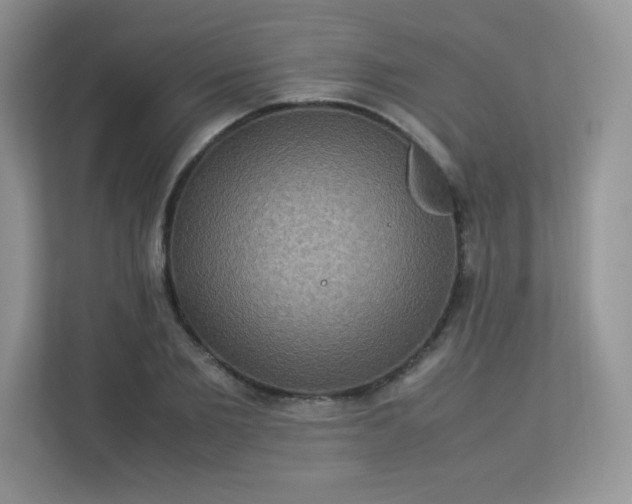 X0000113310885200909281122