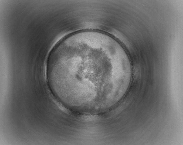 X0000113310886200909281122