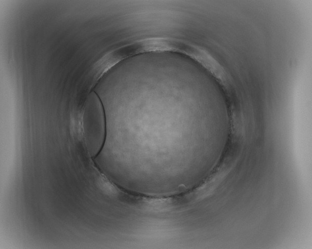 X0000113310889200909281122