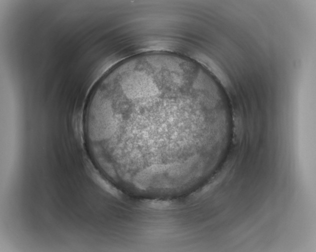 X0000113310890200909281122