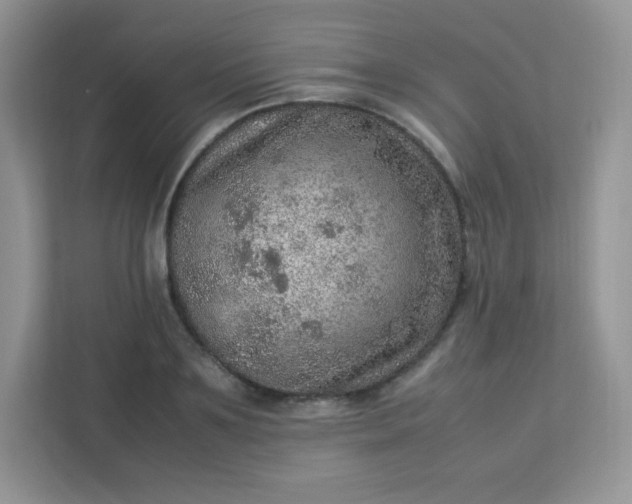 X0000113310891200909281122