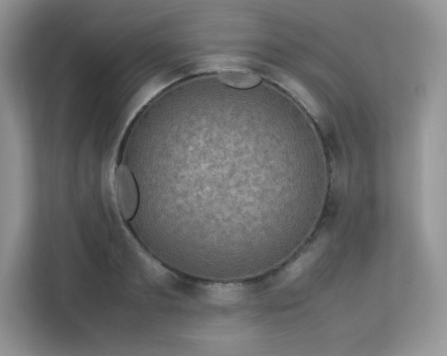 X0000113310893200909281122