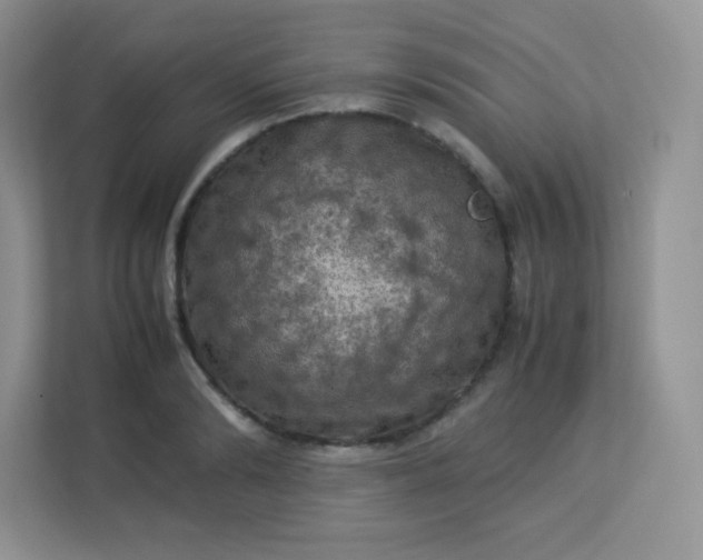 X0000113310894200909281122