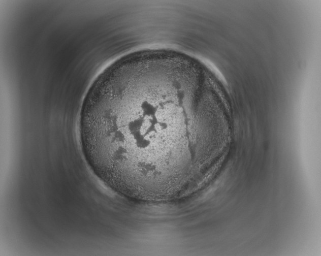 X0000113310895200909281122