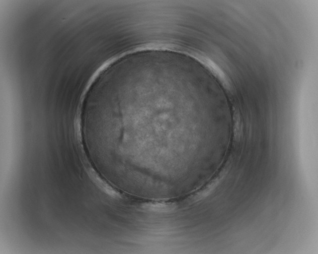 X0000113310896200909281122