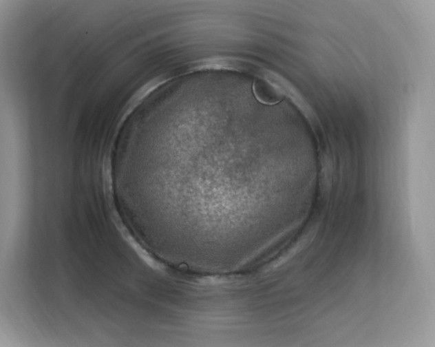 X0000113310898200909281122