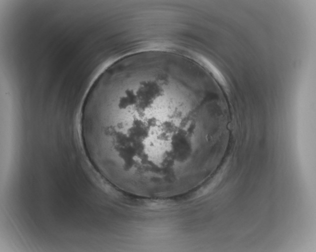 X0000113310899200909281122