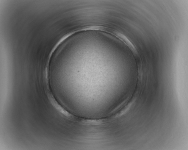 X0000113310900200909281122