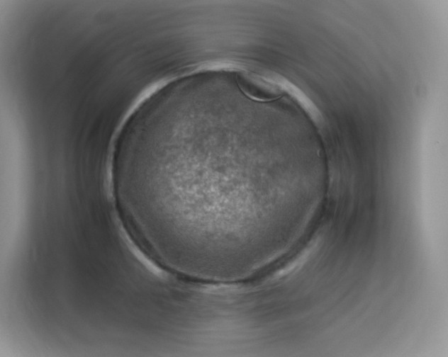 X0000113310902200909281122