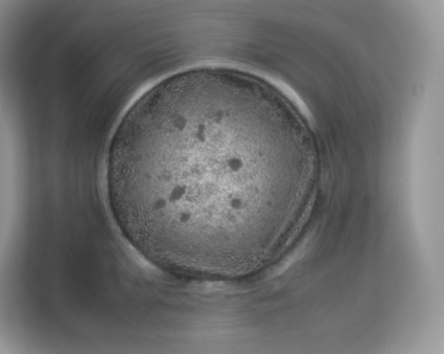 X0000113310903200909281122