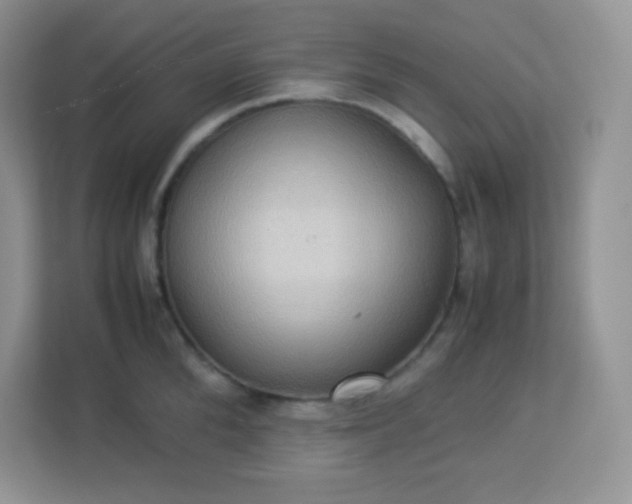 X0000113310904200909281122