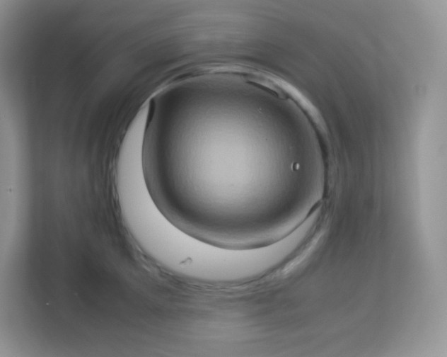 X0000113310905200909281122