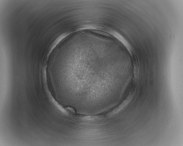 X0000113310906200909281122