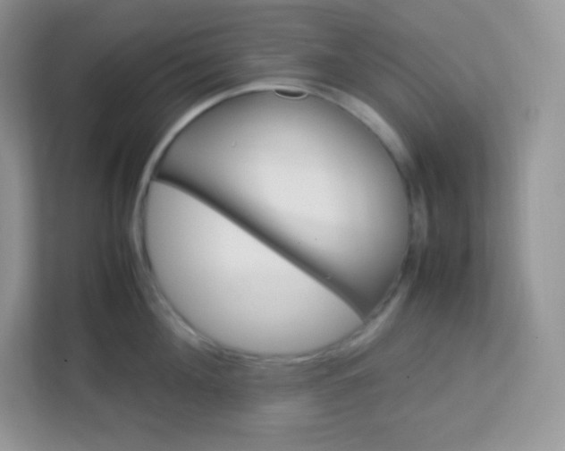 X0000113310908200909281122