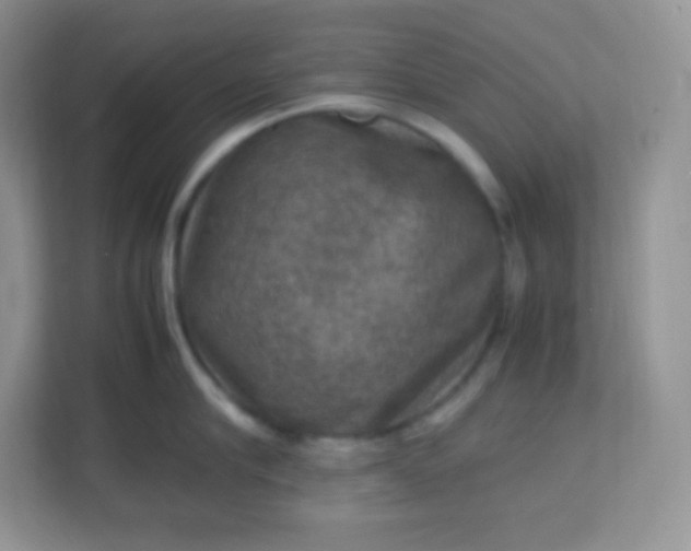 X0000113310910200909281122