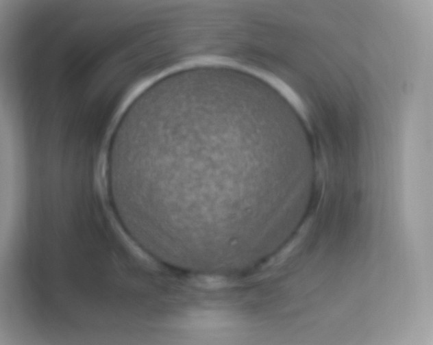 X0000113310911200909281122