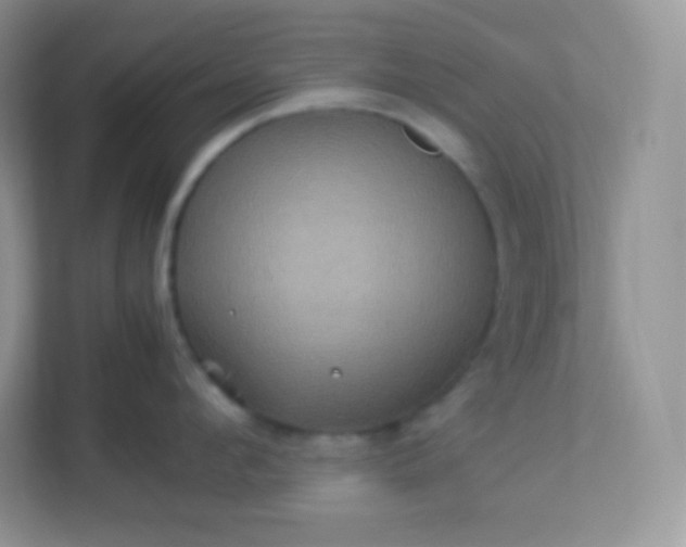 X0000113310912200909281122