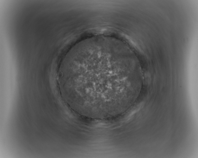 X0000113310913200909281121