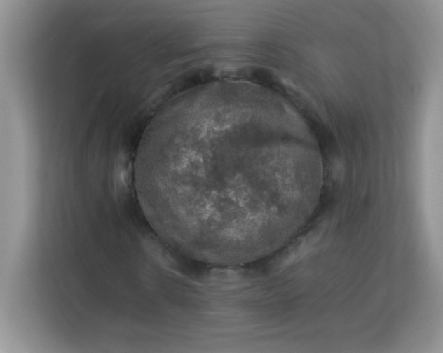 X0000113310914200909281121