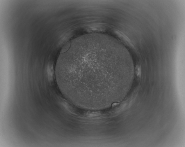 X0000113310915200909281121