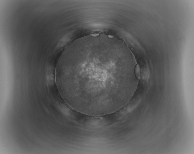 X0000113310916200909281121