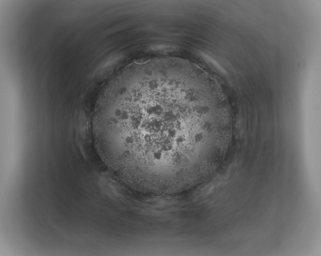 X0000113310917200909281121