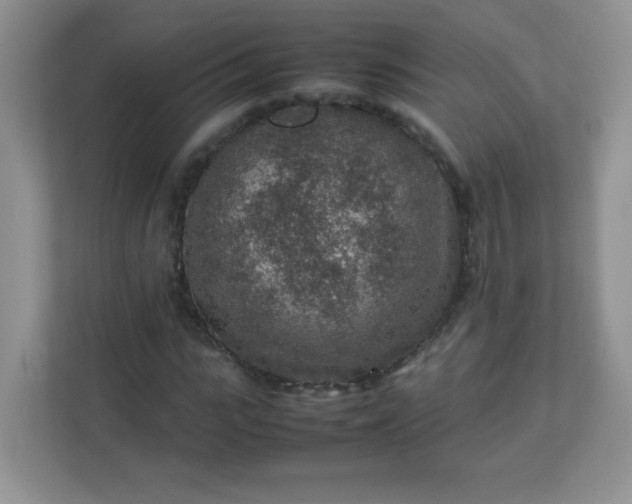 X0000113310919200909281121