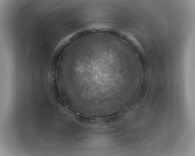 X0000113310920200909281121