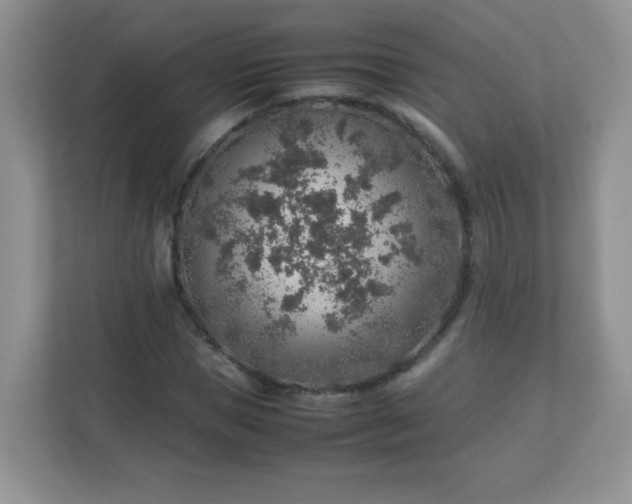 X0000113310921200909281121