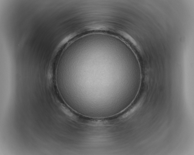 X0000113310922200909281121