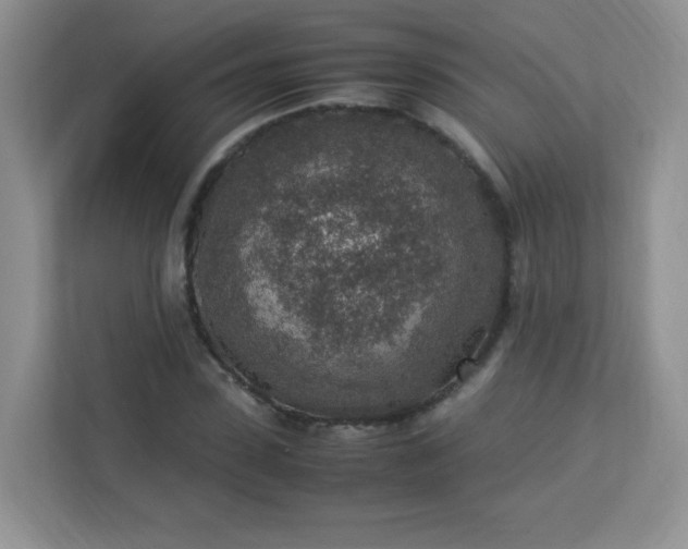 X0000113310923200909281121