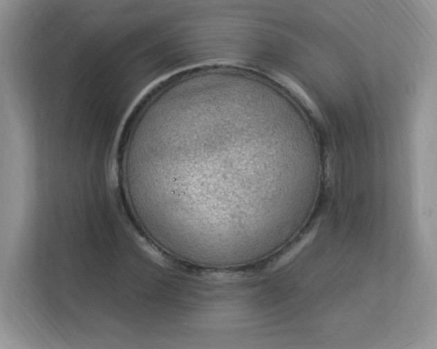 X0000113310924200909281121