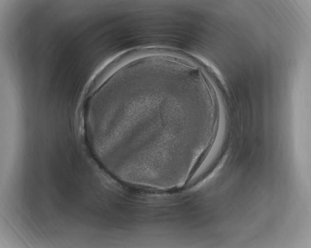 X0000113310925200909281121