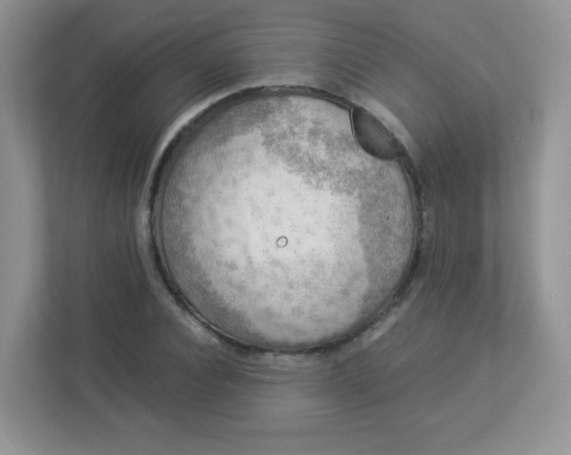 X0000113310928200909281121