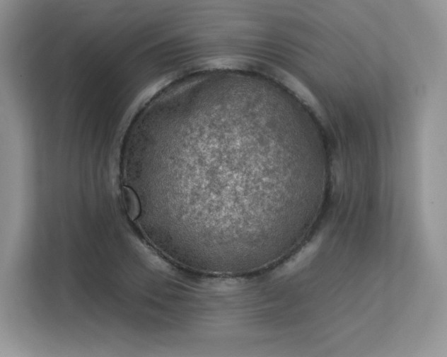 X0000113310930200909281121