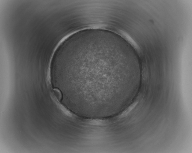 X0000113310932200909281121