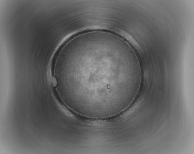 X0000113310934200909281121