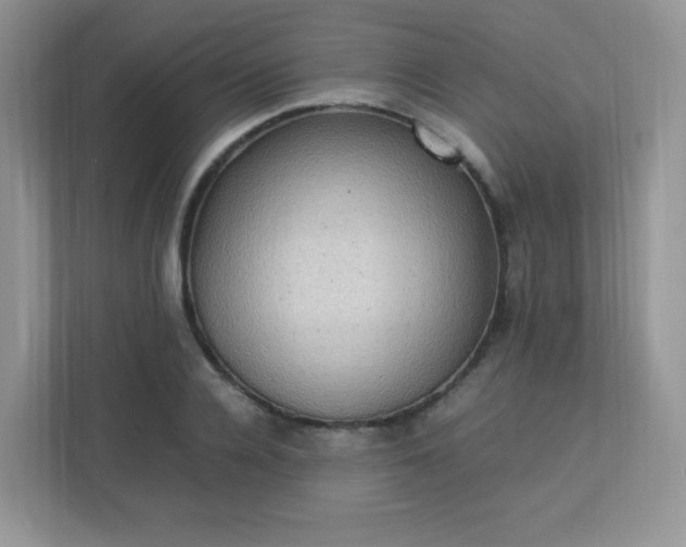 X0000113310936200909281121