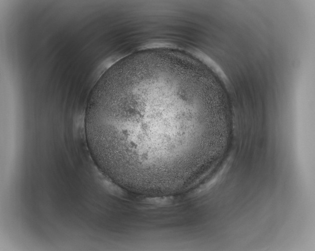 X0000113310937200909281122